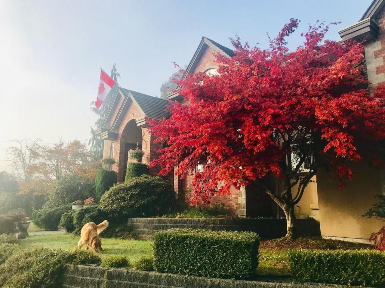 Cedar Manor Bed And Breakfast Pitt Meadows Ngoại thất bức ảnh